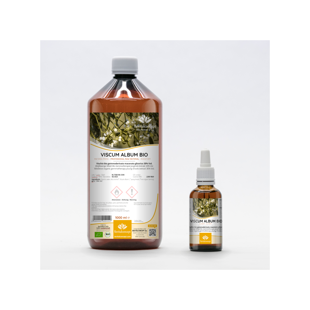 Mistletoe organic gemmotherapy young shoots extract drops / spray