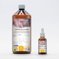 French Tamarisk organic gemmotherapy young shoots extract drops or spray | TAMARIX GALLICA BIO