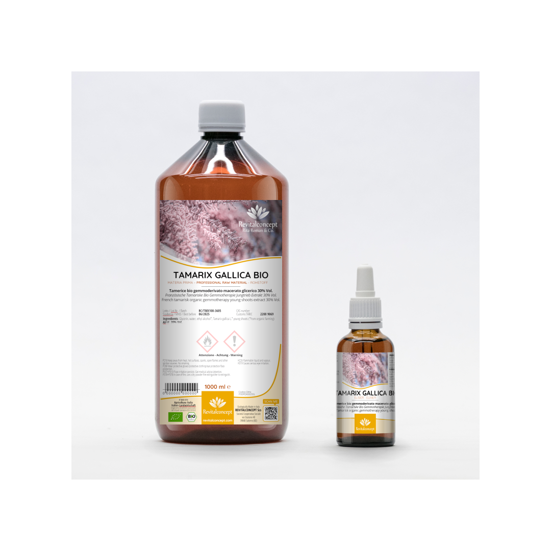 French Tamarisk organic gemmotherapy young shoots extract drops or spray | TAMARIX GALLICA BIO