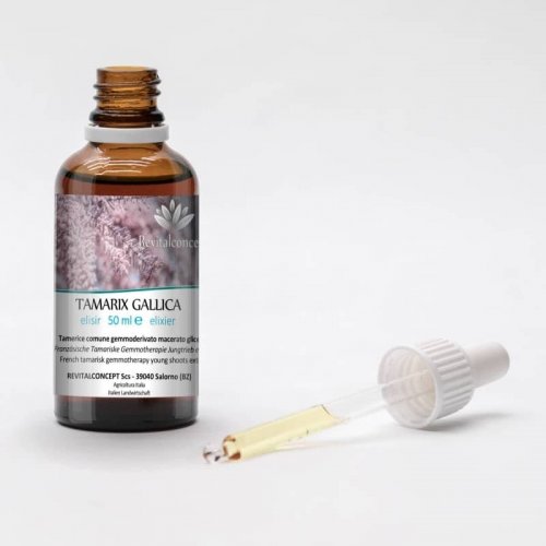 TAMARIX GALLICA gemmo | French Tamarisk organic...