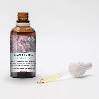 TAMARIX GALLICA gemmo | French Tamarisk organic young shoots extract as gemmotherapy drops or spray