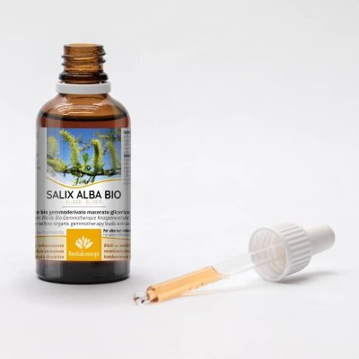SALIX ALBA Gemmo | Silber-Weide Bio Knospen-Extrakt zur Gemmotherapie Tropfen o. Spray