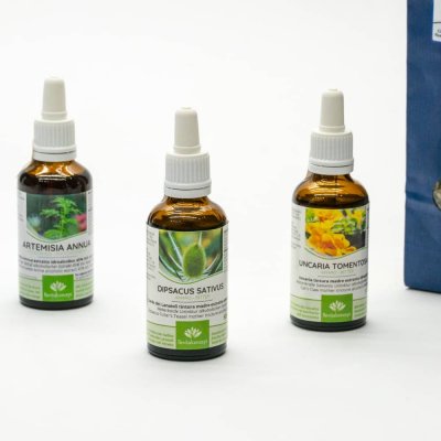 Borrelien Paket nach Storl, Berweiler und Klinghardt