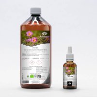 CISTUS+	Plus | Liposomal Red Rock-Rose with Rose...