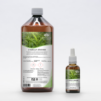 Green Tea organic officinal tincture drops