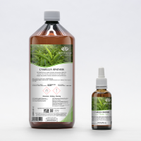 CAMELLIA SINENSIS tincture | Green Tea Sencha organic...