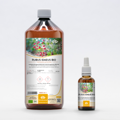 RUBUS IDAEUS Gemmo | Himbeere Bio Knospen-Extrakt zur Gemmotherapie Tropfen o. Spray