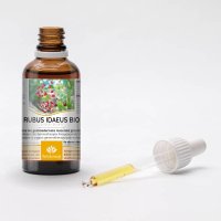 RUBUS IDAEUS gemmo | Red Raspberry organic buds extract... 2