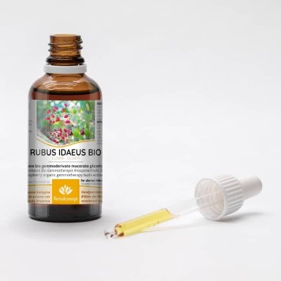 RUBUS IDAEUS Gemmo | Himbeere Bio Knospen-Extrakt zur Gemmotherapie Tropfen o. Spray