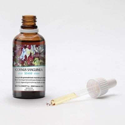 CORNUS SANGUINEA gemmo | Sanguinella bio gemmoderivato macerato glicerico per gemmoterapia gocce o spray