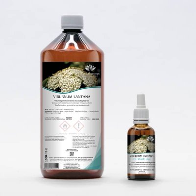 VIBURNUM LANTANA gemmo | Viburno bio gemmoderivato macerato glicerico per gemmoterapia gocce o spray