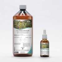 Bilberry organic gemmotherapy young shoots extract drops or spray | VACCINIUM MYRTILLUS BIO