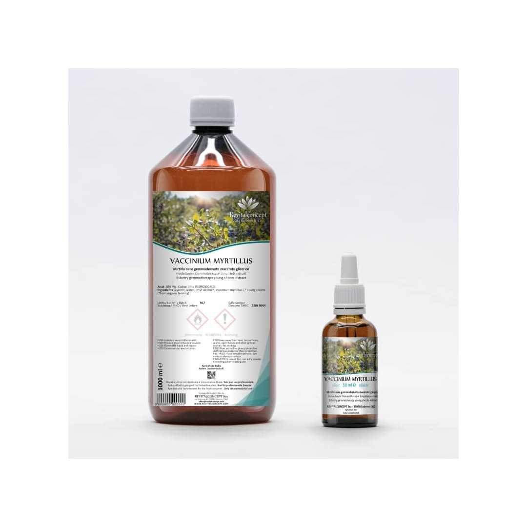 Bilberry organic gemmotherapy young shoots extract drops or spray | VACCINIUM MYRTILLUS BIO