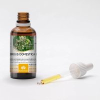 SORBUS DOMESTICA gemmo | Sorb Tree organic buds extract... 2