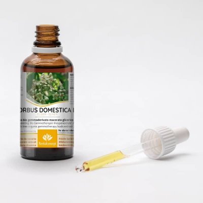 SORBUS DOMESTICA gemmo | Sorbo bio gemmoderivato macerato glicerico per gemmoterapia gocce o spray