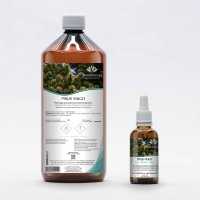 Mountain Pine organic gemmotherapy buds extract drops or spray | PINUS MUGO BIO