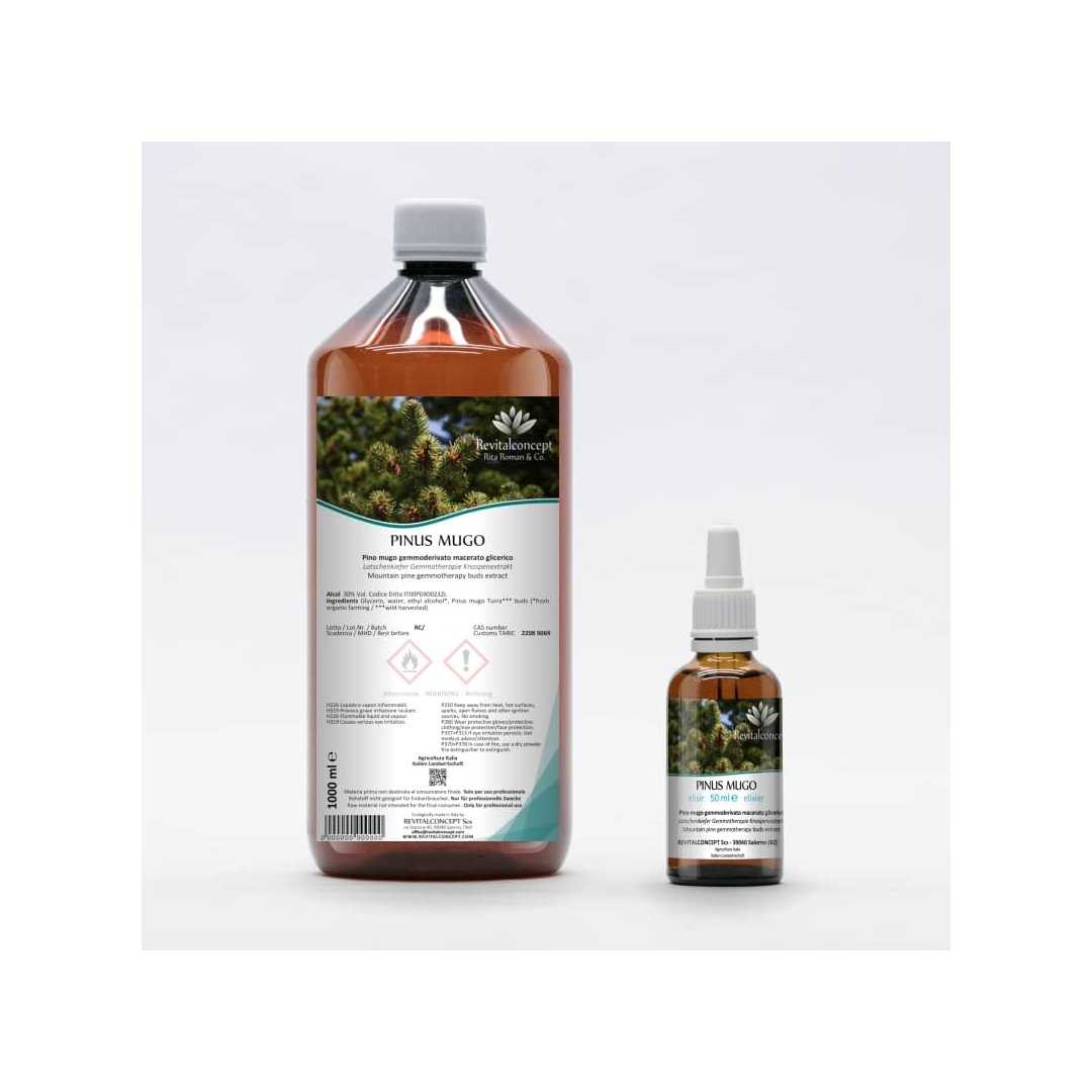 Mountain Pine organic gemmotherapy buds extract drops or spray | PINUS MUGO BIO