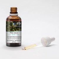 PINUS MUGO gemmo | Mountain Pine organic ayurvedic buds... 2