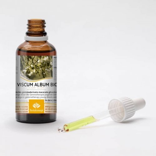 VISCUM ALBUM gemmo | Vischio bio gemmoderivato...