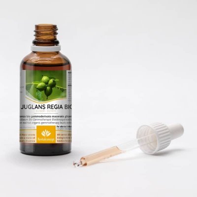 JUGLANS REGIA gemmo | Noce Bianco bio gemmoderivato macerato glicerico ayurvedico adattogeno per gemmoterapia gocce o spray