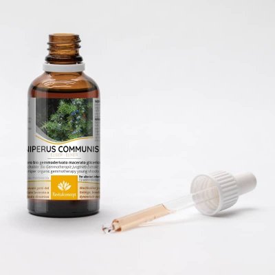JUNIPERUS COMMUNIS gemmo | Ginepro bio gemmoderivato macerato glicerico ayurvedico per gemmoterapia gocce o spray