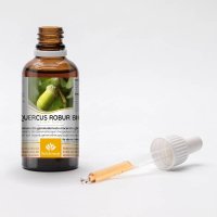 QUERCUS ROBUR gemmo | French Oak organic ayurvedic buds... 2