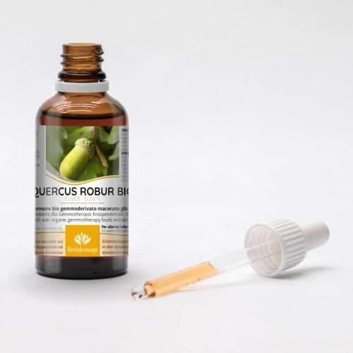 QUERCUS ROBUR gemmo | French Oak organic...