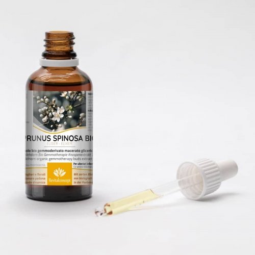 PRUNUS SPINOSA gemmo | Prugnolo bio...