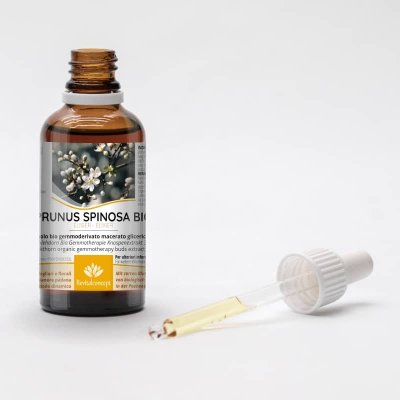PRUNUS SPINOSA gemmo | Prugnolo bio gemmoderivato macerato glicerico per gemmoterapia gocce o spray